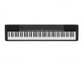 Casio CDP-120